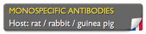 Phospho-specific antibodies made by  Genosphere